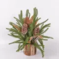 Artificial Norfolk pine branch with pinecones in tree bark pot for Christmas holiday home decor detail. - Pine Cone 1397