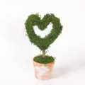 Heart shaped moss tree detail view, rustic terracotta pot desktop decoration plant. - S / Green