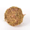 Natural handmade moss rattan ball for garden floral arrangement wedding decor green plant ornament - L / Yellow