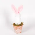 Easter egg bunny potted plant cute plush rabbit ears moss home holiday decor detail view - White