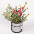 Detailed view of artificial succulent and red berry potted plant in a metal bucket with iron bow. - 86266 (With Flower Stand)