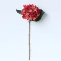 Ortensia artificiale stelo singolo fiore rosso vintage dettaglio per decoro nozze casa. - Rosso