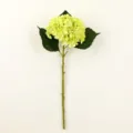 Primo piano di un ramo di ortensia artificiale verde, con petali e stelo realistici e dettagliati. - Verde