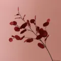 Ramo di eucalipto artificiale rosso pianta finta decorazione matrimonio autunno foglie verde - 87cm / Rosso autunnale