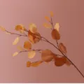 Ramo artificiale di eucalipto con foglie color autunno per decorazioni domestiche e matrimoni. - 87cm / Champagne Autunnale