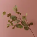 Ramo di eucalipto artificiale pianta finta foglie verdi per interni casa autunno d'oro - 87cm / Verde chiaro d'autunno