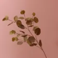 Artificial autumn eucalyptus branch with brown leaves for home wedding and tabletop decor. - 87cm / Autumn Green