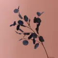 Artificial eucalyptus branch dark leaves fake plant for home decor wedding floral arrangement - 87cm / Autumn Royal Blue