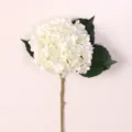 Ortensia artificiale bianca gambo singolo con foglie verdi fiore finto decorazione - Bianco