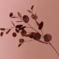 Artificial eucalyptus branch autumn color apple leaves home wedding decor botanical plant - 87cm / Autumn Coffee