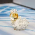 Cute resin crystal turtle figurine, transparent and white stone desktop home office decor. - Howlite