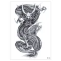 Waterproof temporary tattoo sticker featuring a traditional dragon sketch design for arms and body. - HB-760 / 148*210MM