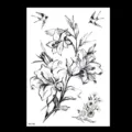 Hoja de pegatina de tatuaje temporal de flores en boceto negro con lirio y golondrina. - TH-172 / 148*210MM
