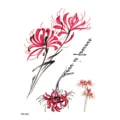 Vente en gros de tatouage temporaire de lys araignée rouge étanche pour bras - HB-134X