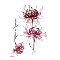 Autocollant de tatouage temporaire imperméable fleur de lys araignée rouge design aquarelle. - HB-129X