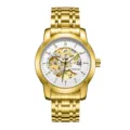 Gold automatic waterproof watch for men, skeleton dial luxury steel wristwatch. - Gold Steel White Dial