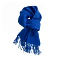 Écharpe d'hiver bleu roi à franges, châle doux imitation cachemire pour femmes et hommes. - 200X65+10CM / Bleu Saphir