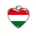 Detalle colgante corazón bandera Hungría abalorio DIY de acero inoxidable para pulsera - Acero-Hungría