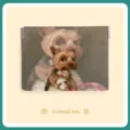 Detail view of the mini coin purse and cable organizer bag featuring a cute pet oil painting. - M / Dining Dog