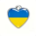 Colgante de corazón de acero inoxidable con esmalte azul y amarillo para joyería DIY y llaveros. - Acero-Ucrania