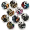 Tai Chi animal series acrylic fridge magnet time gem patch set with animal designs. - 10 Pieces Mixed Set