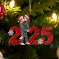 2025 Christmas couple acrylic hanging ornament, cute cartoon lover tree decor gift. - Long Side 8cm / Style 23