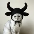 Joli bonnet chapeau de cornes de diable au crochet pour chat Halloween animal - S / Style Cornes vers le Haut / Noir