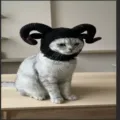 Joli chapeau cornes de bélier chat Halloween costume animal gothique tricot crochet - S / Style Cornes vers le Bas / Noir