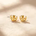 Boucles d'oreilles clous lune en acier inoxydable doré vis cartilage bijoux variante - 9#