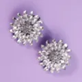 Sparkling rhinestone flower shoe clips for women, elegant crystal shoe charms for wedding heels. - Gentle Luxury Shoe Buckle (SC-J001)