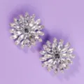 Sparkling crystal flower shoe clips, elegant silver rhinestone shoe buckles for high heel variants. - Vintage French Shoe Clip (SC-J064)