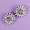 Sparkling crystal flower shoe clips for bridal wedding heels and party evening shoes decors. - Exquisite Niche Shoe Clip (SC-J001)