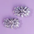 Crystal shoe clips sparkling rhinestone shoe flowers for wedding bridal evening shoes decor - Bridal Travel Photo Shoe Clips SC-J079