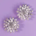 Sparkling crystal flower shoe clips, elegant bridal shoe buckles for wedding party - Vintage French Shoe Clip (SC-J064)