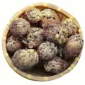 Dried resurrection plant selaginella lepidophylla natural plant specimen for home decor. - 1 Piece (Water-Activated)
