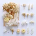 Dried flowers bulk preserved floral DIY craft materials for candle making party decor - A5-01