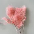 Pink preserved dried flowers fluffy smoke tree bouquet home decor floral arrangement gift. - Hot Pink
