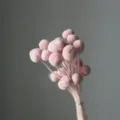 Pink Billy Balls Dried Flowers Bouquet Craspedia Flowers for Home Decor and Floral Arrangements - 20 Pcs/Pack / Light Pink