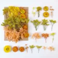 Dried preserved flowers DIY kit, yellow and orange natural floral accessories for craft decor. - A5-03