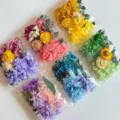 Dried flowers DIY material set for holiday decoration and craft projects, assorted colors. - Random Style (Bag)