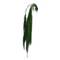 Green artificial hanging amaranth flower branch detail shot for home decor florist arrangement - Dark Green Hanging Rice Branches