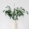 Green preserved flower dried branches bouquet detail view for home decoration and floral art. - Dark Green Small Panicum Grass