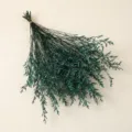 Green preserved flower bouquet for home decor and shop display, natural dry plant branches. - Green Limonium