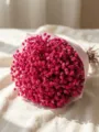 Pink Gypsophila dried flower bouquet wrapped in elegant paper for home decor and gifts. - 400+-50g/Bundle (60-70cm) / Red