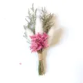 Mini dried flower bouquet detail, natural preserved plants for gift decoration and home styling. - Pink and Green