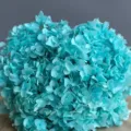 Blue preserved hydrangea flower for home decor, eternal dried flower for floral arrangements. - Light Blue