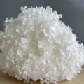 Dettaglio primo piano testa di fiore ortensia stabilizzata bianca decoro casa 1pz - Bianco