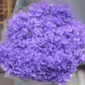 Scatto dettagliato di un bouquet di ortensie ortensia preservate viola per decorazioni. - Viola