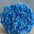 Primo piano della testa di fiore di ortensia blu brillante conservata per decorazioni. - Blu