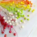 Natural dried acacia beans flower bouquet colorful DIY floral arrangement handicraft gift decor - Random Mixed Colors